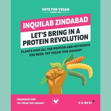 1-13 Veganuary 2024 campaign – driving global change with a plant-based challenge