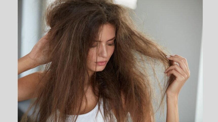 PNN-6 The Ultimate Guide to Repair Chemically Damaged Hair