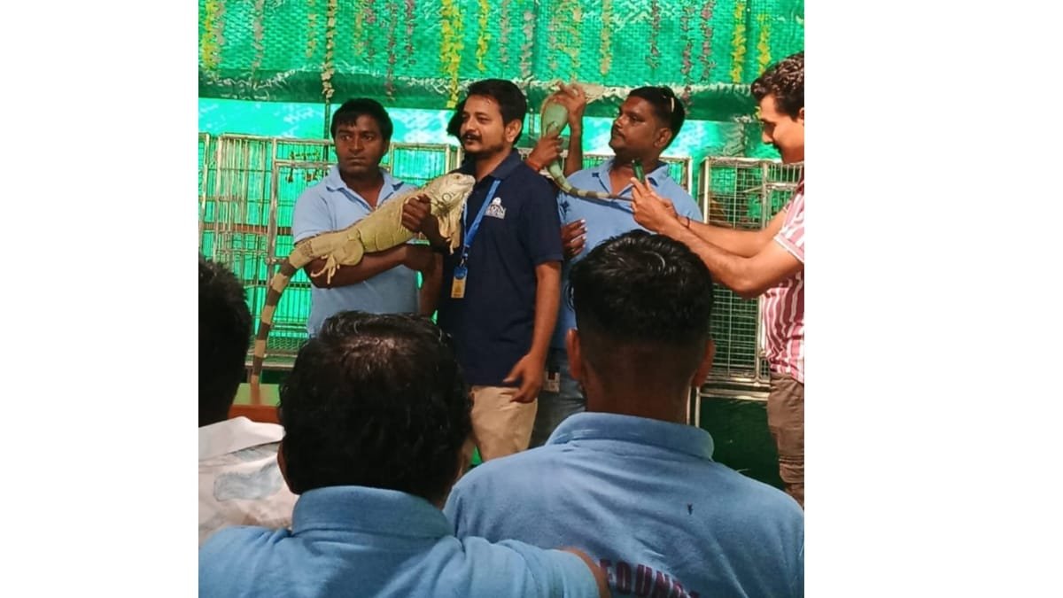 14-10-25-2526010687-Dhun-Dharmaj-Welfare-Only-PNN Dhun Charitable Trust, Dharmaj, and Daya Foundation, Karamsad Jointly Organize Unique Animal Welfare Program