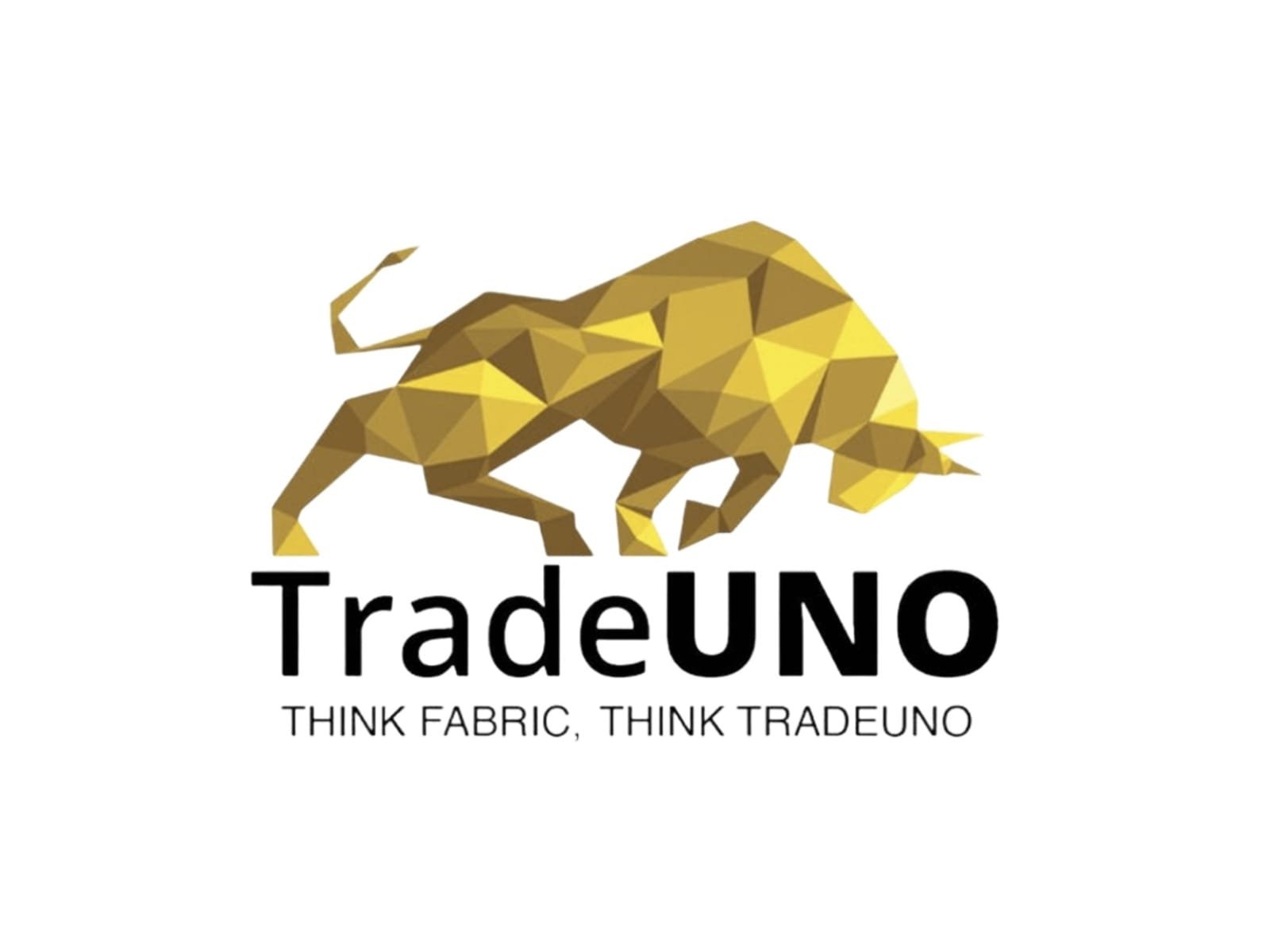 ANI-trade Game Changers Texfab Limited IPO Opens on October 28, 2025