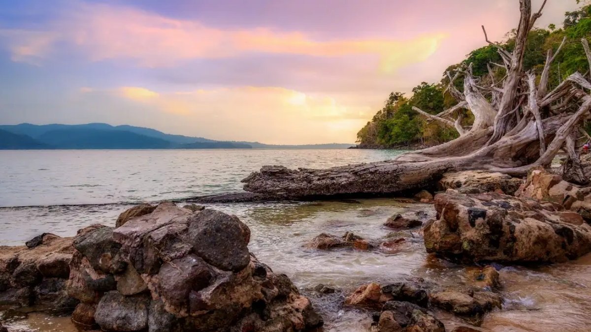 PNN-2026-06-19T122027816 Andaman Packages from Vizag: Your Complete Island Getaway Guide