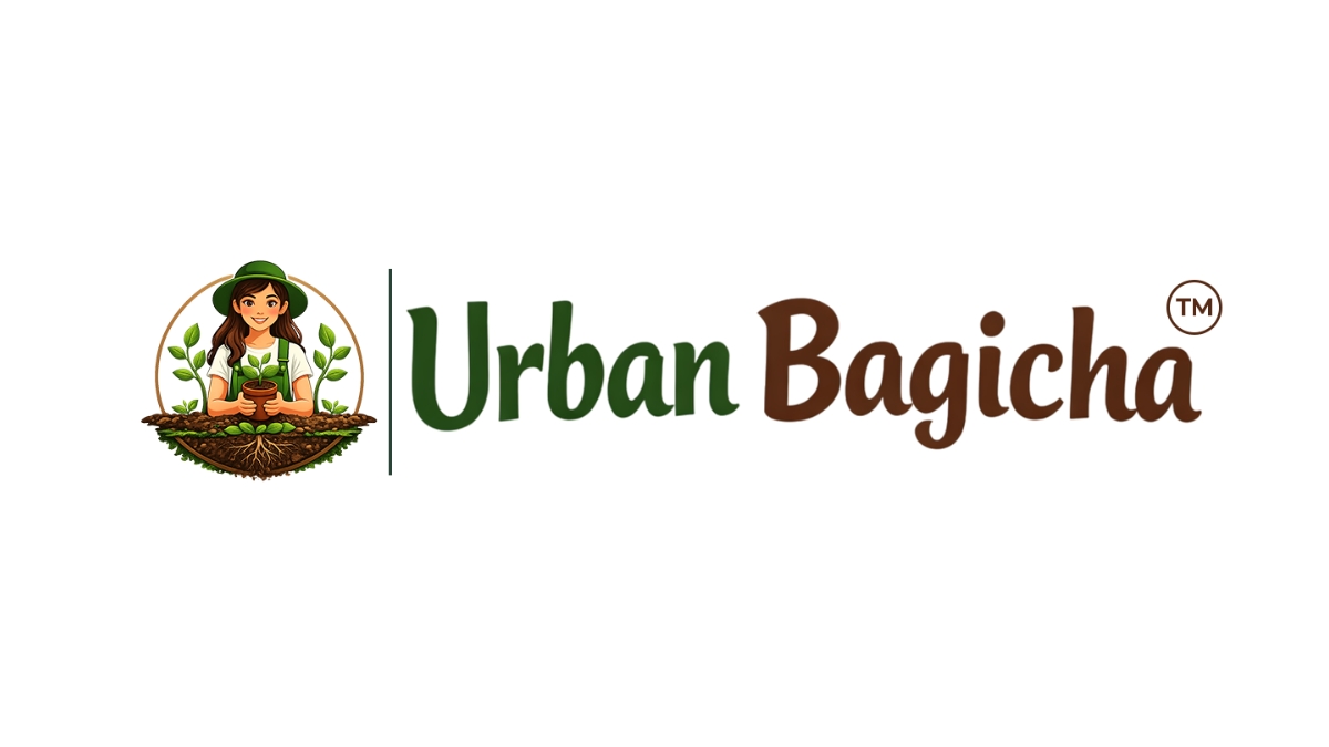 PNN-2026-07-22T145209.310 Urban Bagicha Brand is Redefining Urban Green Living with Sustainable Innovation and Community Impact