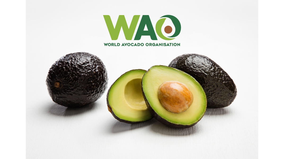 PNN-2026-09-08T113940.848 World Avocado Organisation Highlights Avocado’s Role in Post-Monsoon Wellness as India Enters the Festive Season