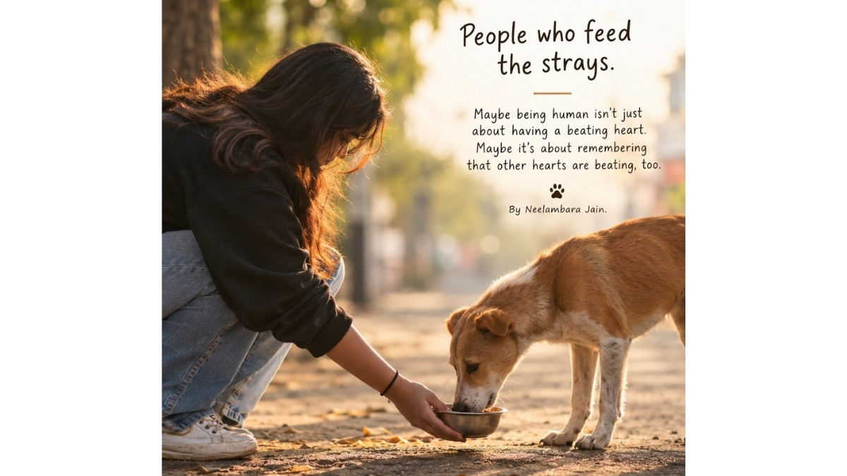 PNN-2026-10-13T180317.753 Beyond Humanity: How Local Animal Feeders Are Redefining Urban Compassion in a Tech-Driven Era