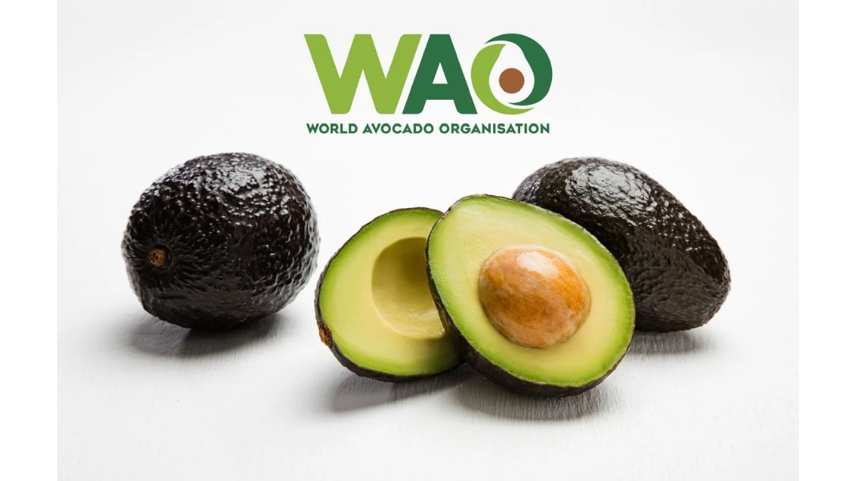 PNN-2026-10-19T123434.640 Beyond Sabudana and Kuttu: Fresh Ideas to Bring Avocado to the Navratri Table